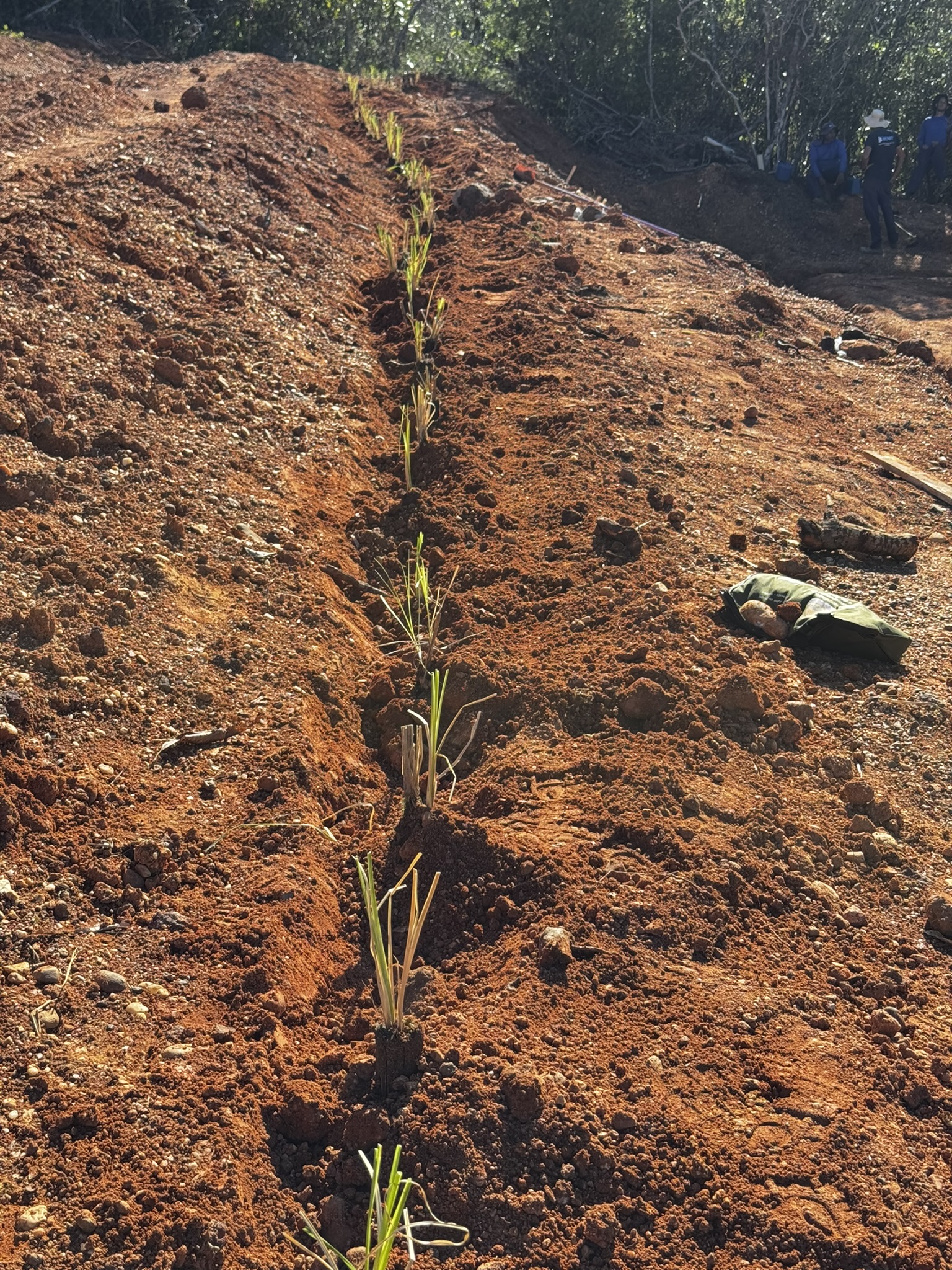 Construção de cordão de contorno em área experimental